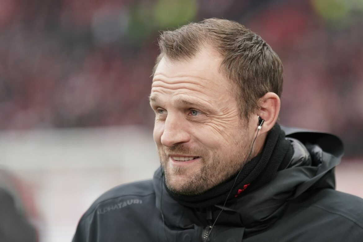 Mainz-Coach Svensson: Aktuell jedes Jobangebot ablehnen