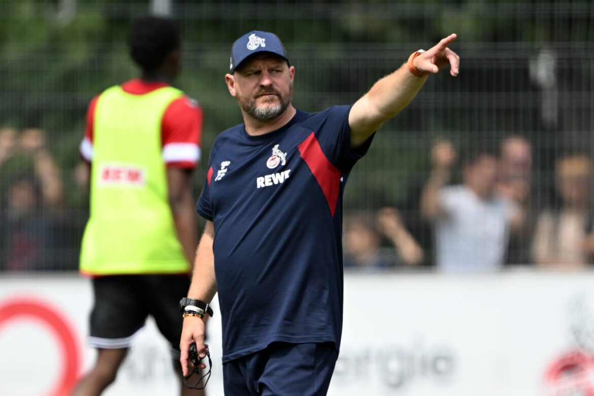 Trainer Baumgart will mit dem 1. FC Köln ins DFB-Pokalfinale