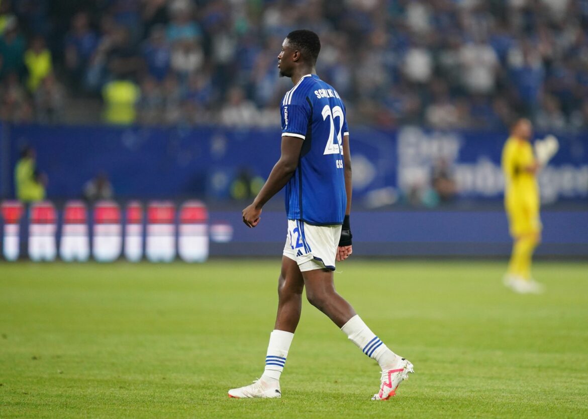 Schalke und HSV stellen sich nach Beleidigungen vor Cissé