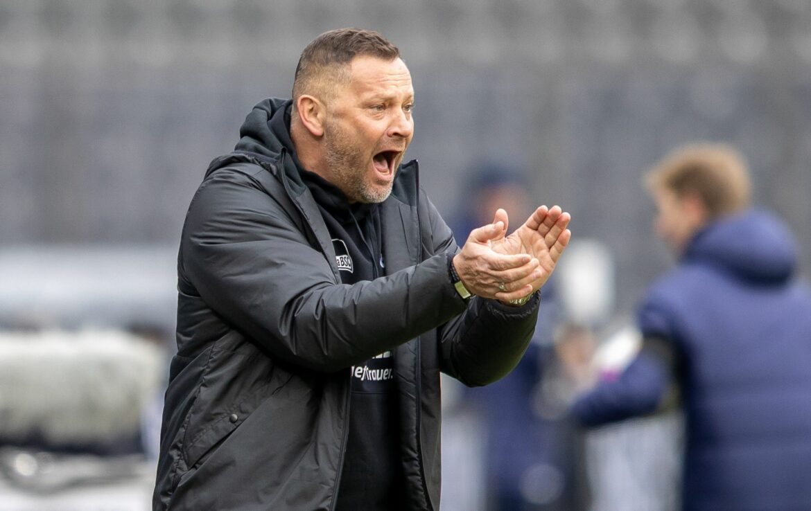 Grippaler Infekt: Hertha-Coach Dardai vor Pokal-Spiel krank