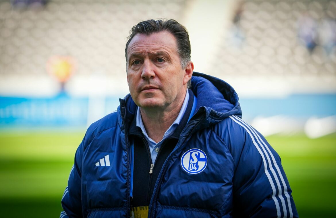 Schalke-Sportdirektor Wilmots: «Keine Trainerdiskussion»